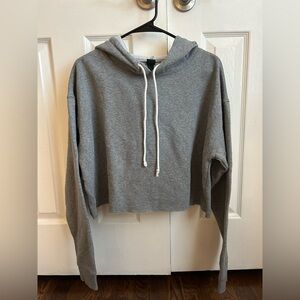 Wild Fable Heather Gray Cropped Hoodie